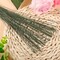 Floral Wire 26 Gauge, 100 Pcs Green Florist Flower Wire Stems for Crafts, Bouquet Stem Wrapping, Wreath Making, Flower Arrangement Supplies (14 Inch)